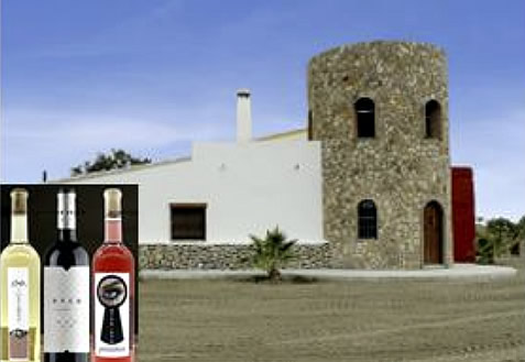 Foto Bodega Palomillo